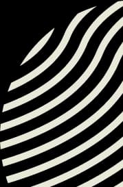 Watermark