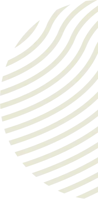bgImage